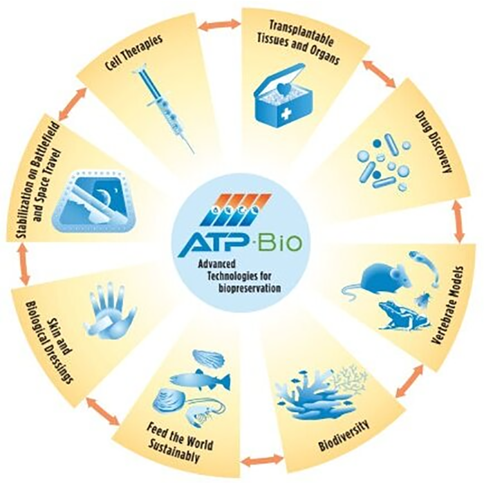 ATP Bio 2